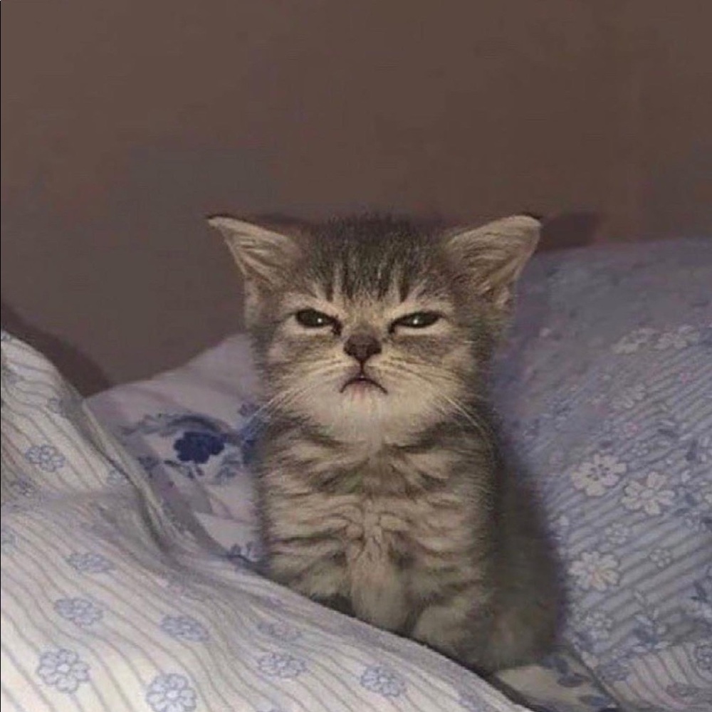 Meet your Posher, Sami